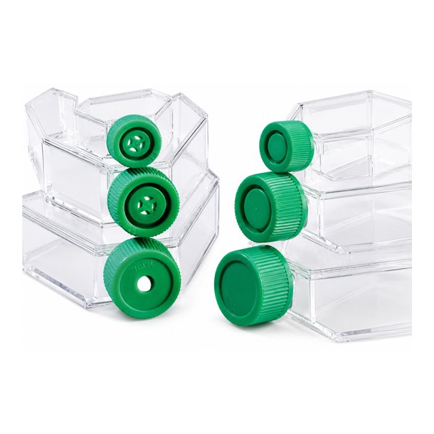 Celledyrkningsflasker