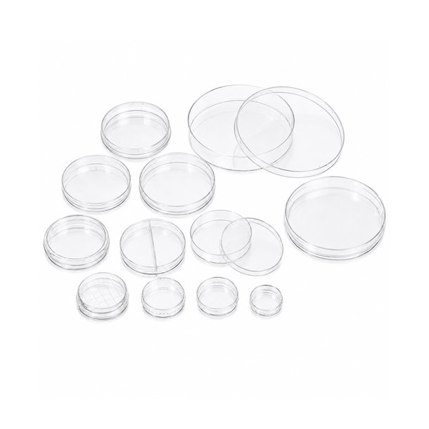  Cell culture dishes