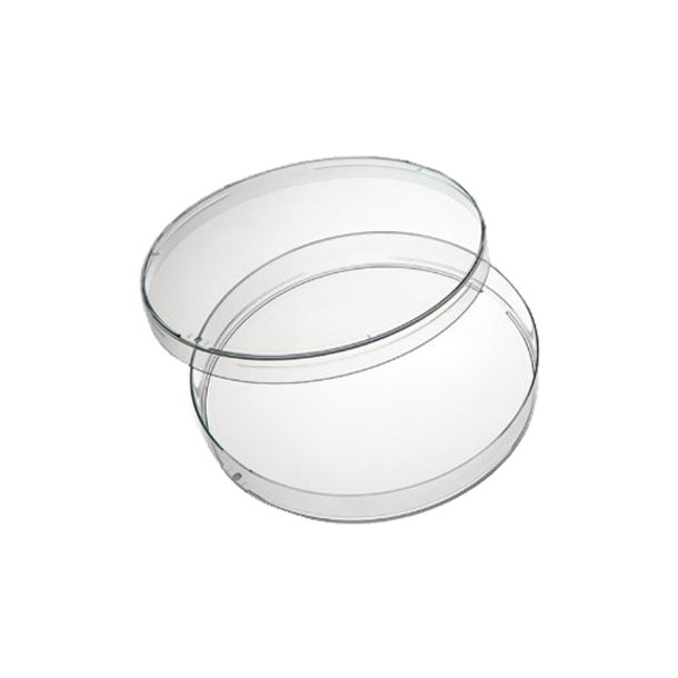 Non-sterile polystyrene Petri dishes