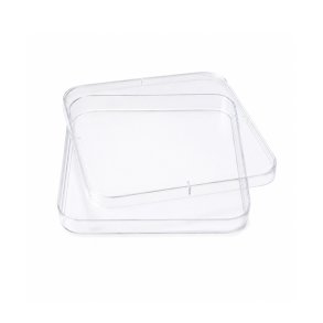 Square Petri dishes