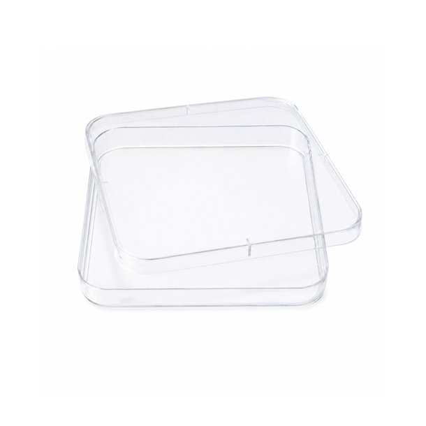 Square Petri dishes