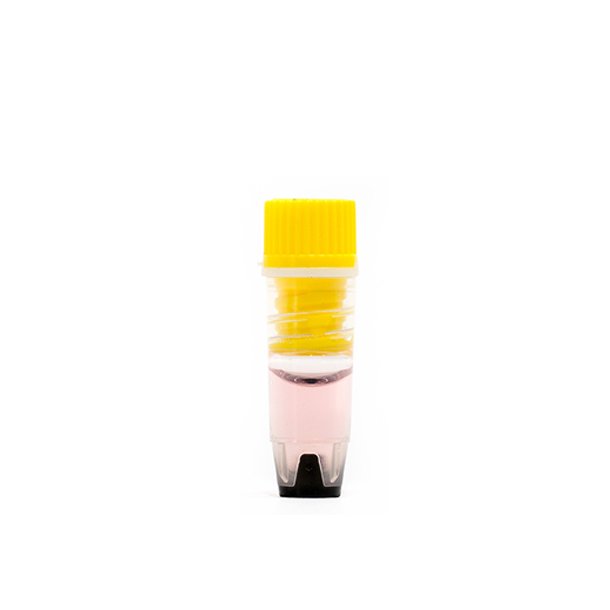 R�r 0,5 ml, SBS-format, 2D-kode og indvendigt gevind 