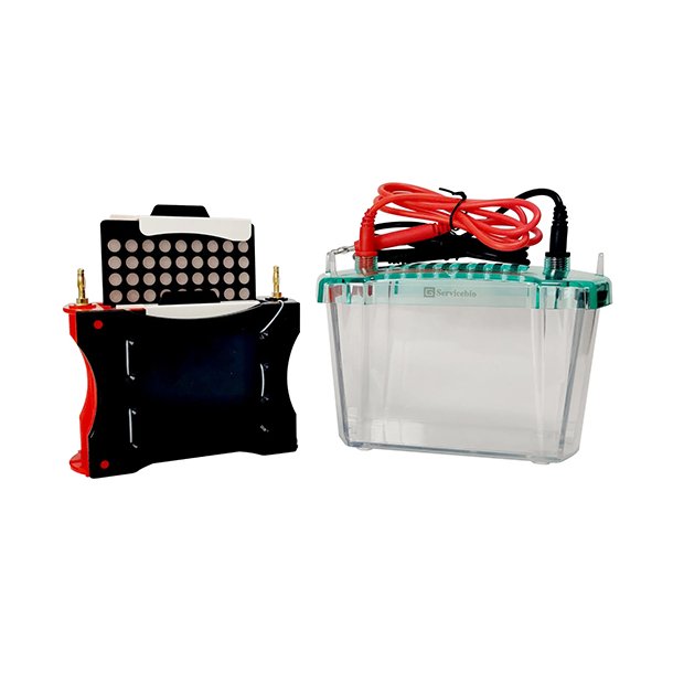 Transfer electrophoresis tank SVT-2